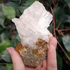 Selenite Crystal, Morocco G