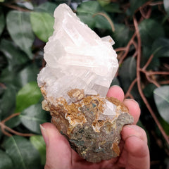 Selenite Crystal, Morocco G