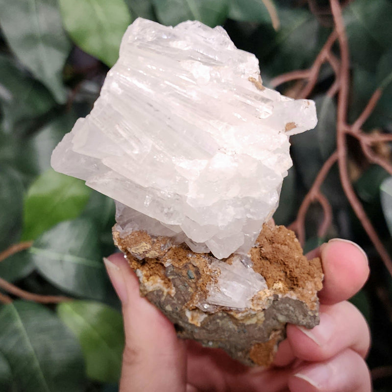 Selenite Crystal, Morocco G