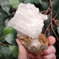 Selenite Crystal, Morocco G