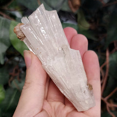 Selenite Crystal, Morocco H
