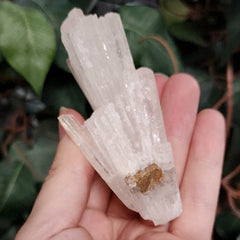 Selenite Crystal, Morocco H