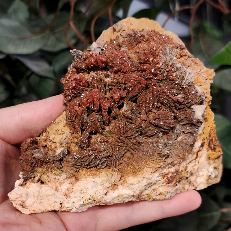 Vanadinite, G (4.25")