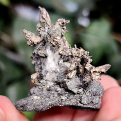 Native Silver, Morocco A (2.5