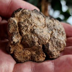 NWA Meteorite, On Stand B (93.2g)