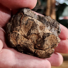 NWA Meteorite, On Stand D (54g)