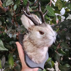 Jackalope Wall Hangers