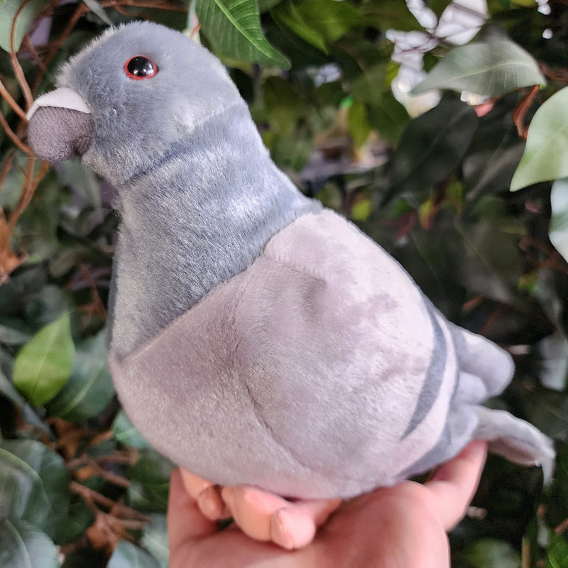Pigeon Plushies