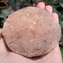 Ancient Near Eastern Pottery Plate