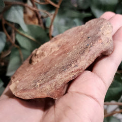 Ancient Near Eastern Pottery Plate