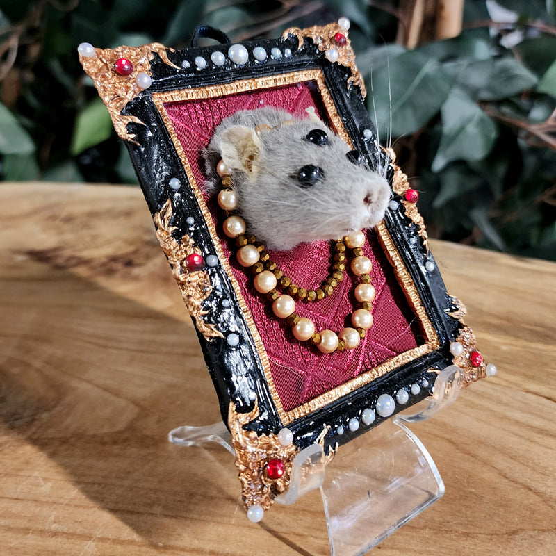 Rat Taxidermy, Miss Mystical