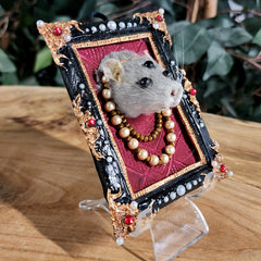 Rat Taxidermy, Miss Mystical
