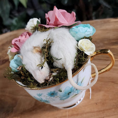 Mouse Taxidermy, Clementine