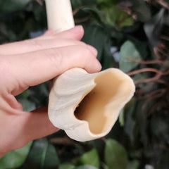 Warthog Tusk A, XXL (10