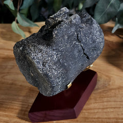 Allosaurus Dinosaur Vertebrae