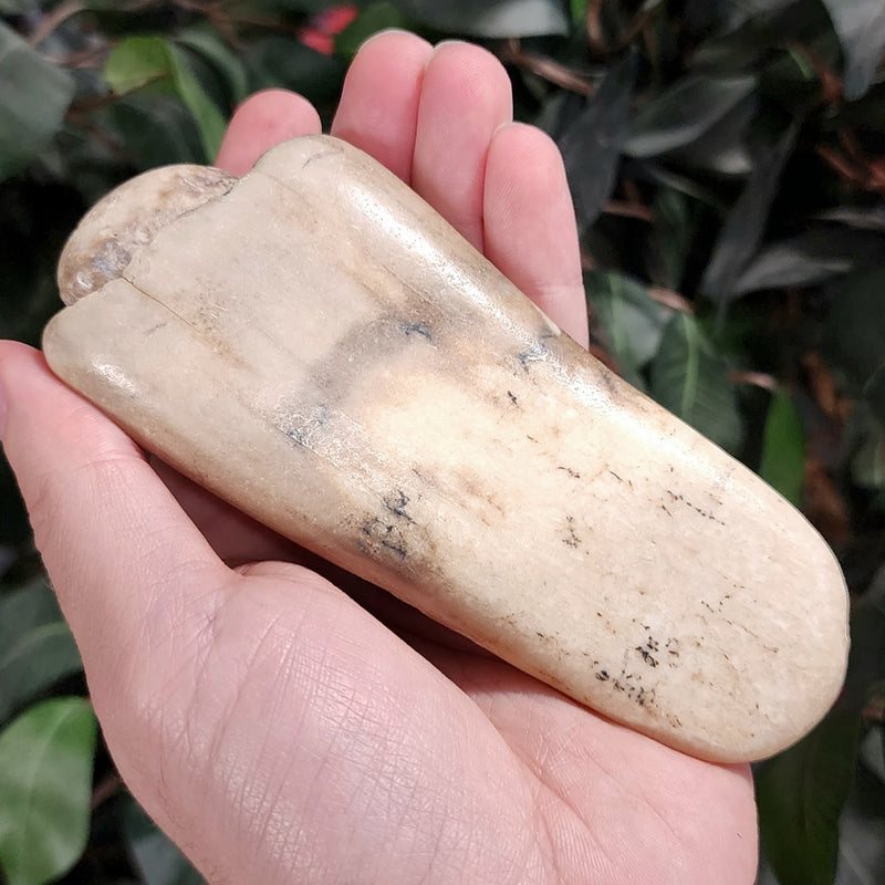Walrus Tusk, Ocean-Worn A, 5" (Ontario)