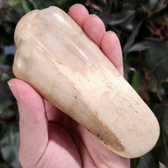 Walrus Tusk, Ocean-Worn A, 5