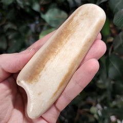 Walrus Tusk, Ocean-Worn B, 4.5