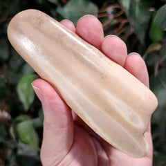 Walrus Tusk, Ocean-Worn B, 4.5