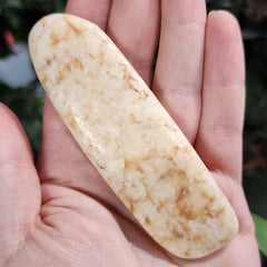 Walrus Tusk, Ocean-Worn C, 4.75