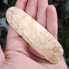 Walrus Tusk, Ocean-Worn C, 4.75