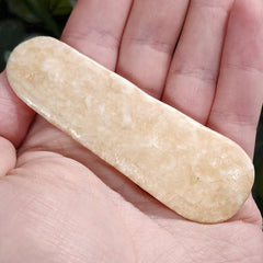 Walrus Tusk, Ocean-Worn D, 3.25