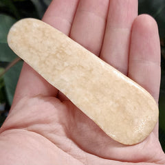 Walrus Tusk, Ocean-Worn D, 3.25