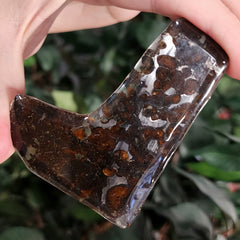 Sericho Pallasite Meteorite A (28.4g)