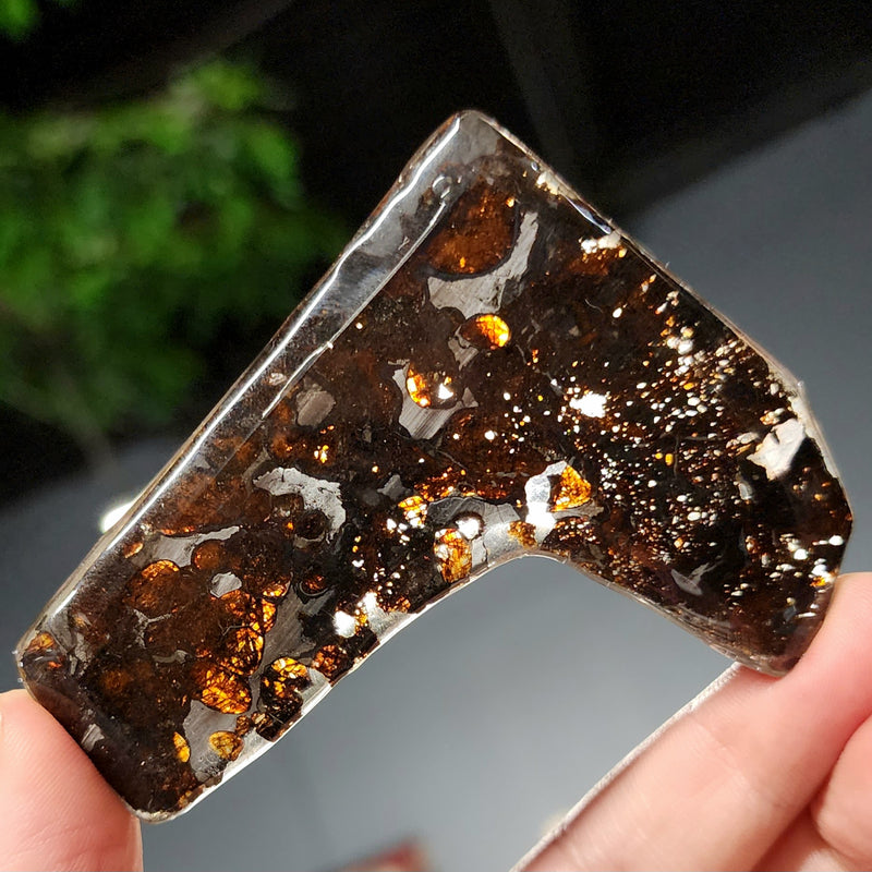 Sericho Pallasite Meteorite A (28.4g)