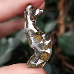 Sericho Pallasite Meteorite B (3.3g)