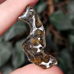 Sericho Pallasite Meteorite B (3.3g)
