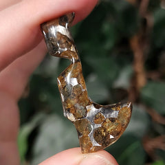 Sericho Pallasite Meteorite C (2.9g)