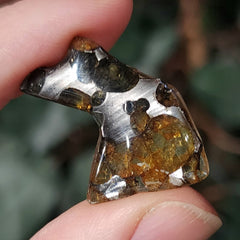 Sericho Pallasite Meteorite D (3g)