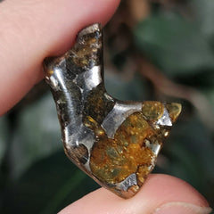 Sericho Pallasite Meteorite D (3g)