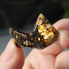 Sericho Pallasite Meteorite D (3g)