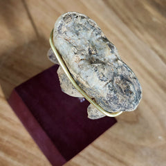 Cavebear Molar (On Stand) A