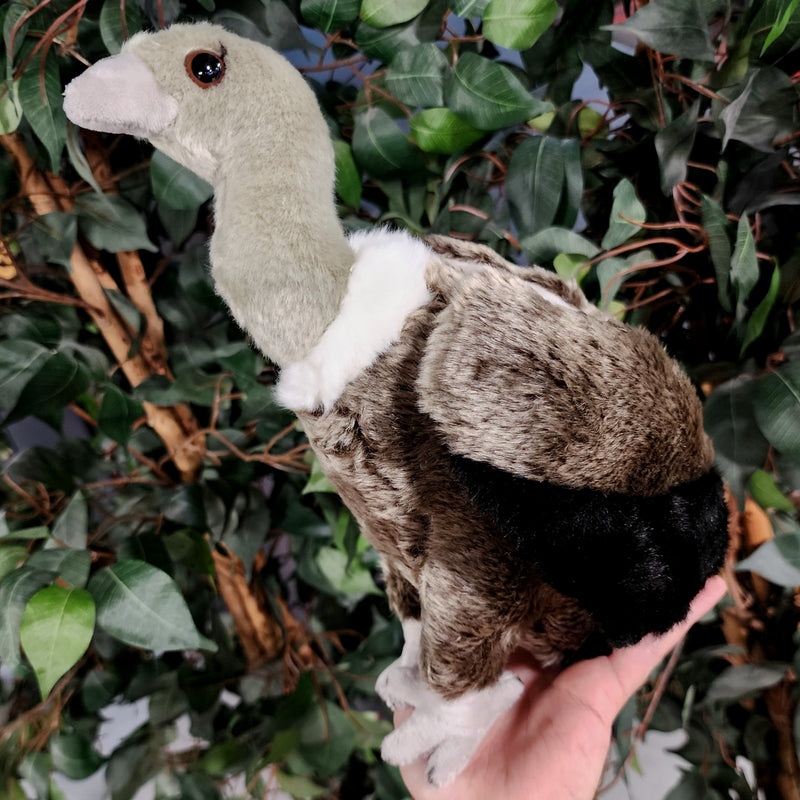 Vulture Plushies