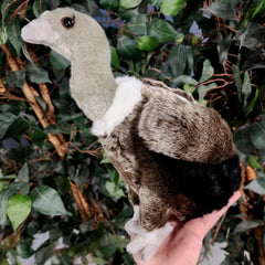 Vulture Plushies