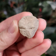 Teotihuacan Clay Head, M
