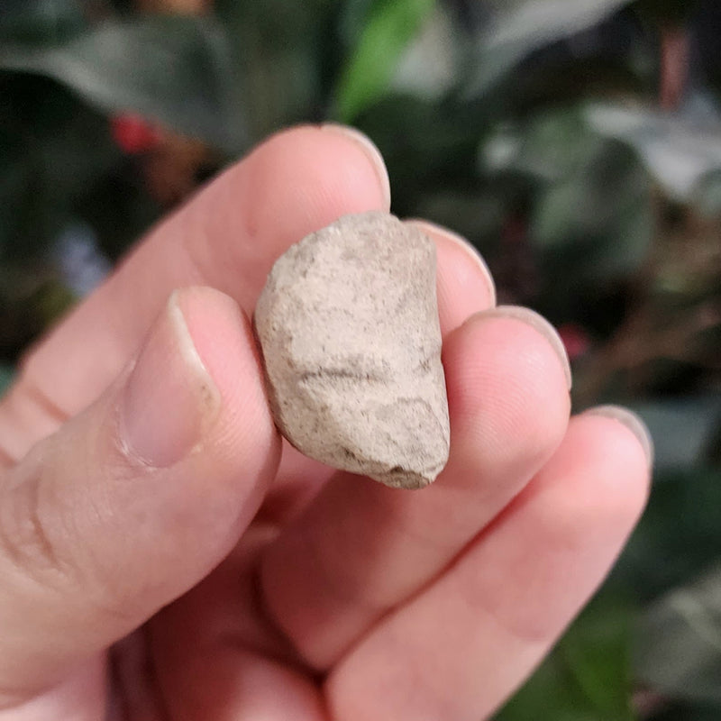 Teotihuacan Clay Head, M