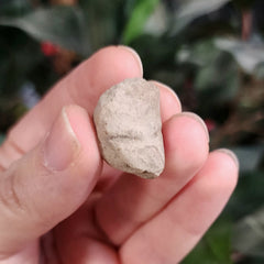 Teotihuacan Clay Head, M