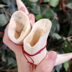 Warthog Tusk, Polished Pair