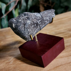 Allosaurus Dinosaur Hand Bone