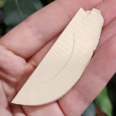 Woolly Mammoth Tusk Fragment F (2.75