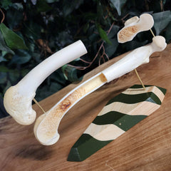German Shepherd Dog Femur (Anatomical Prep)