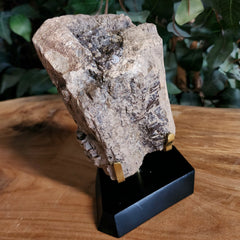 Dinosaur Bone, Opal
