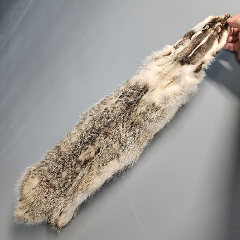 American Badger Fur A