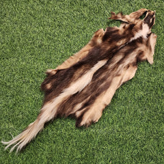 Skunk Fur, C