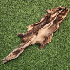Skunk Fur, B