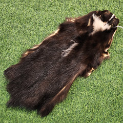 Skunk Fur, A